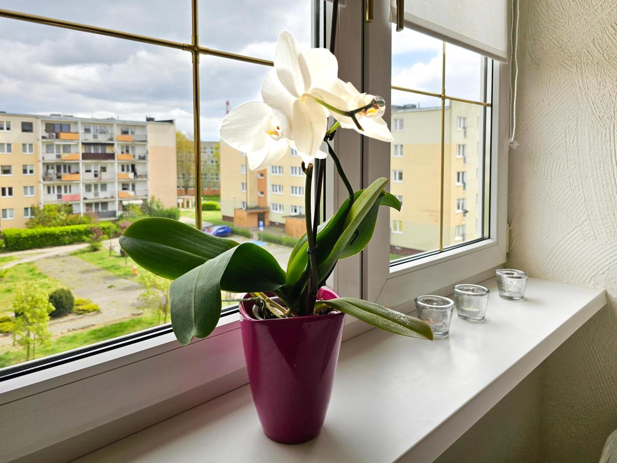 Visit Baltic - Apartament Sunny Świnoujście Екстериор снимка
